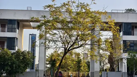 Guangxi Medical University Guangxi Medical University